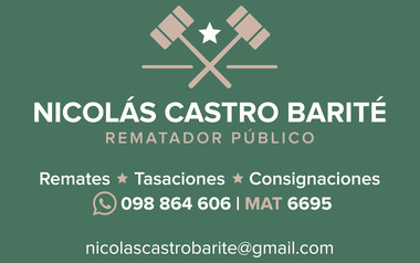 Nicolas Castro Barite - Rematador