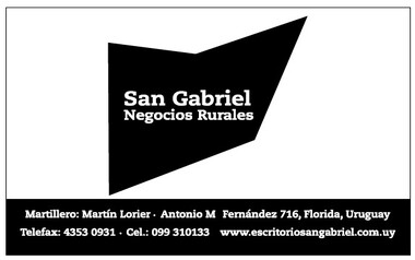 SAN GABRIEL - NEGOCIOS RURALES