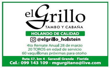 EL GRILLO - TAMBO y CABAÑA
