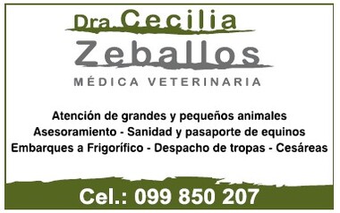 DRA. CECILIA ZEBALLOS