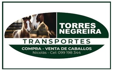 TORRES NEGREIRA TRANSPORTES