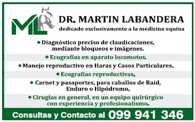 DR. MARTIN LABANDERA