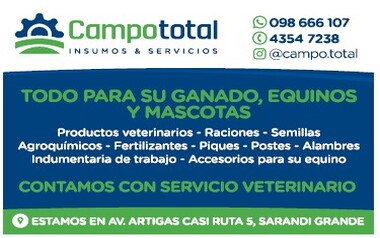 CAMPO TOTAL - SDI GRANDE