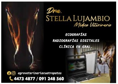 Dra. Stella Lujambio