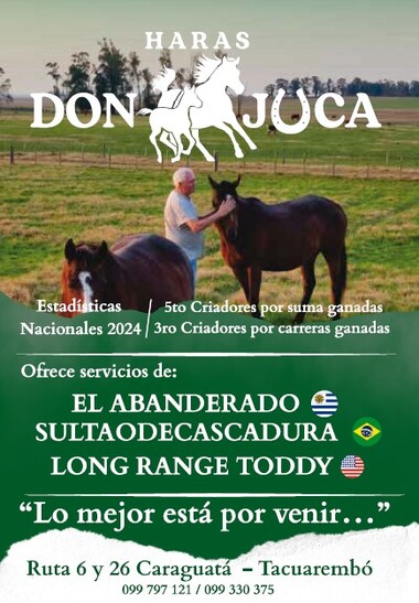 Haras Don Juca