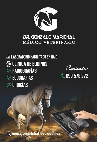 Dr. Gonzalo Marichal