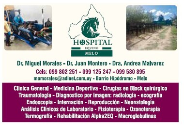 HOSPITAL EQUINO - MELO