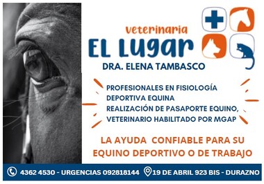 VETERINARIA EL LUGAR - DURAZNO