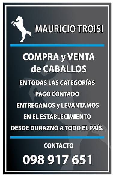 MAURICIO TROISI - COMPRA Y VENTA DE CABALLOS