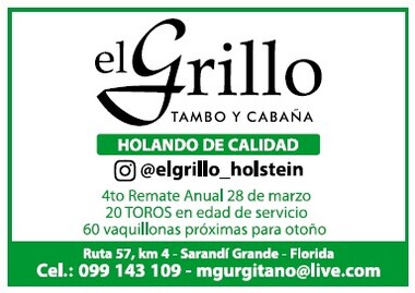 EL GRILLO - TAMBO y CABAÑA