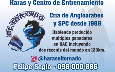 HARAS y CENTRO DE ENTRENAMIENTO - EL TORNADO