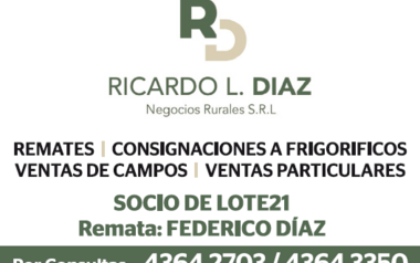 RICARDO L. DIAZ - Negocios Rurales