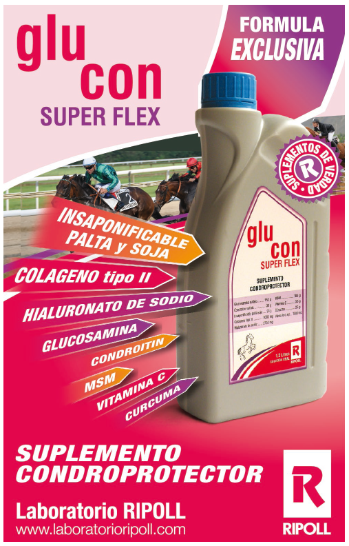 LABORATORIO RIPOLL
